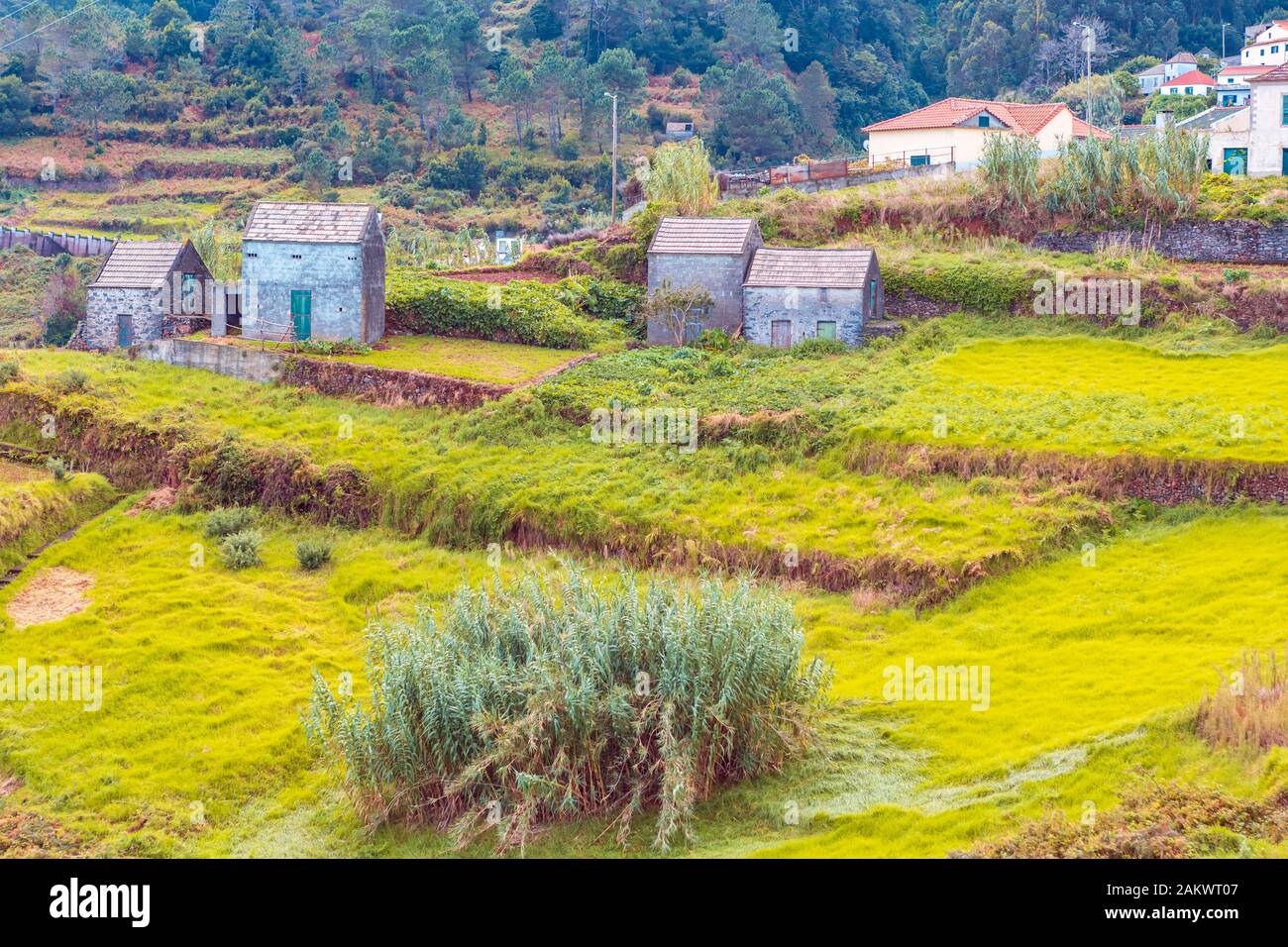 Roque Do Faial Dorf auf Madeira. Roque Faial, Madeita Insel, Portugal Stockfoto