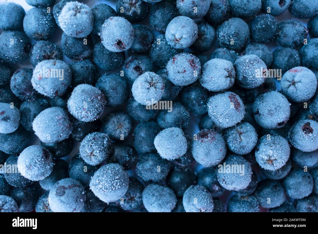 Hintergrund der gefrorenen Chokebeeren. Antioxidantien aus Beeren, Chokebeere. Stockfoto