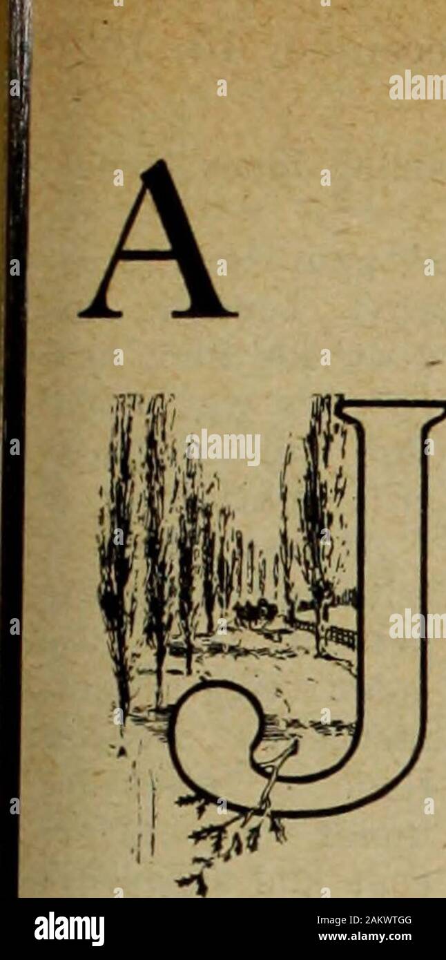 Farmer's Magazin (Januar-Dezember 1920). Die ef-fectually aufwachte, jeder leidet unter Schläfrigkeit. Es gibt nichts formelles über das Frühstück, die Chuck wagon servedbehind, und das machte es allen themore angenehm. Joe hatte mal einen fröhlichen The Rush zu bieten und dann für sich selbst verschoben. Sie graba Platte und einer Tin Cup, ein Messer und Gabel und helfen Ihrer-selbst. Das Steak, das zarteste und besten, ist in einem platterby die Seite der Herd. Auch Kartoffeln und warme Semmeln, Kaffee in einen großen Topf, Brot auf dem Tisch, flankedby die Butter, Milch und Zucker. Helfen Sie sich selbst, Jungen, und zu Ihm gehen. Finden Sie einen Sitz an Stockfoto