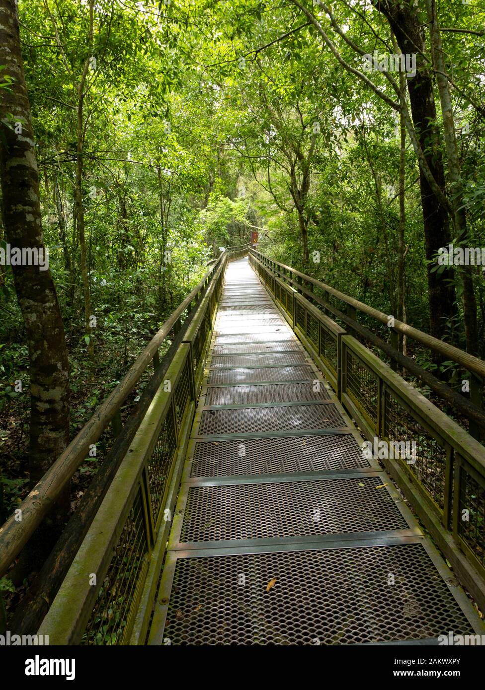 Fußweg zu Wasserfällen, Iguazu National Park, Misiones, Argentinien. Stockfoto