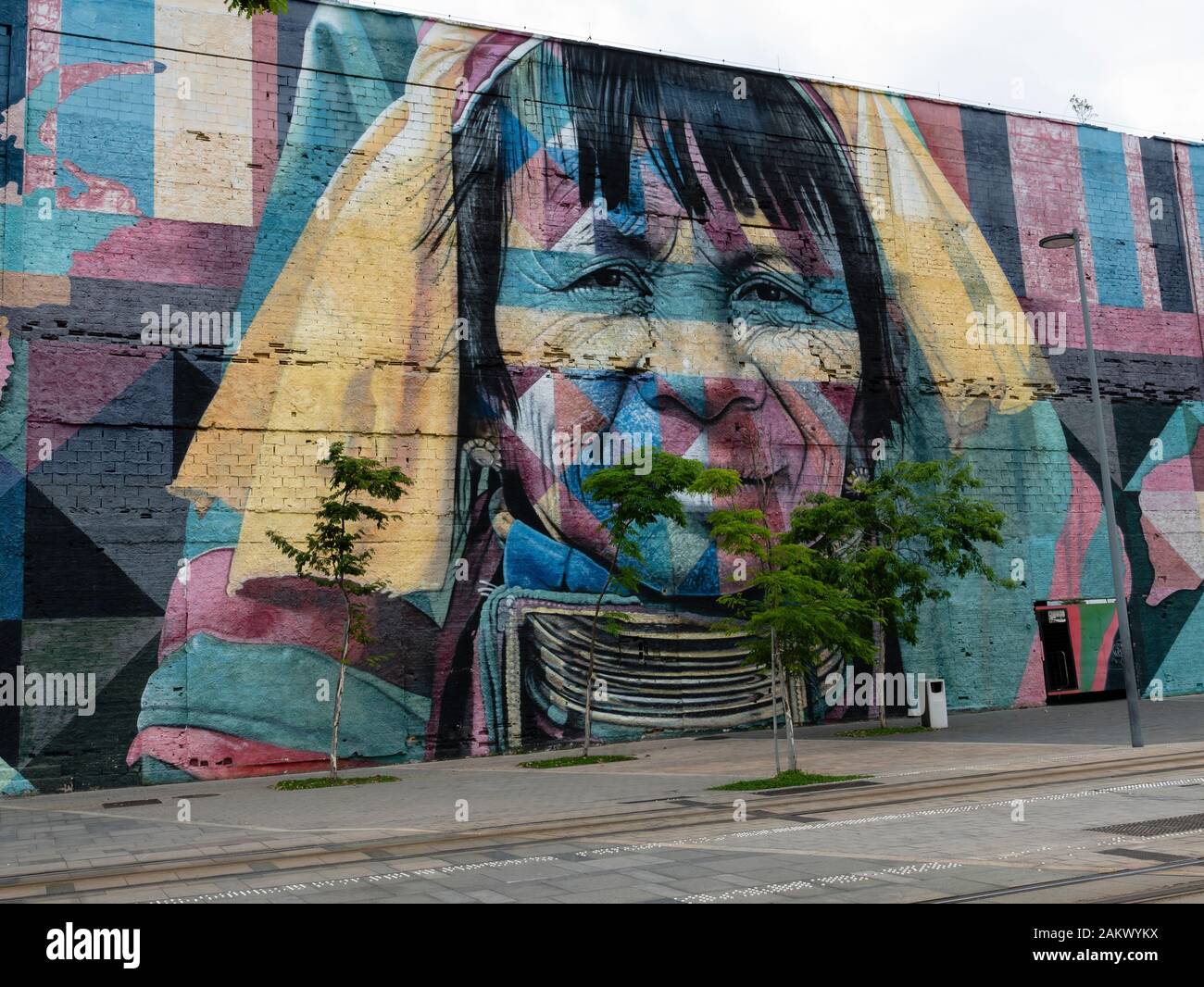 Etnias (Ethnien) Wall Art von Eduardo Kobra weltbekannten Brasilianischen Graffiti Künstler. Olympic Boulevard, Rio de Janeiro, Brasilien. Stockfoto