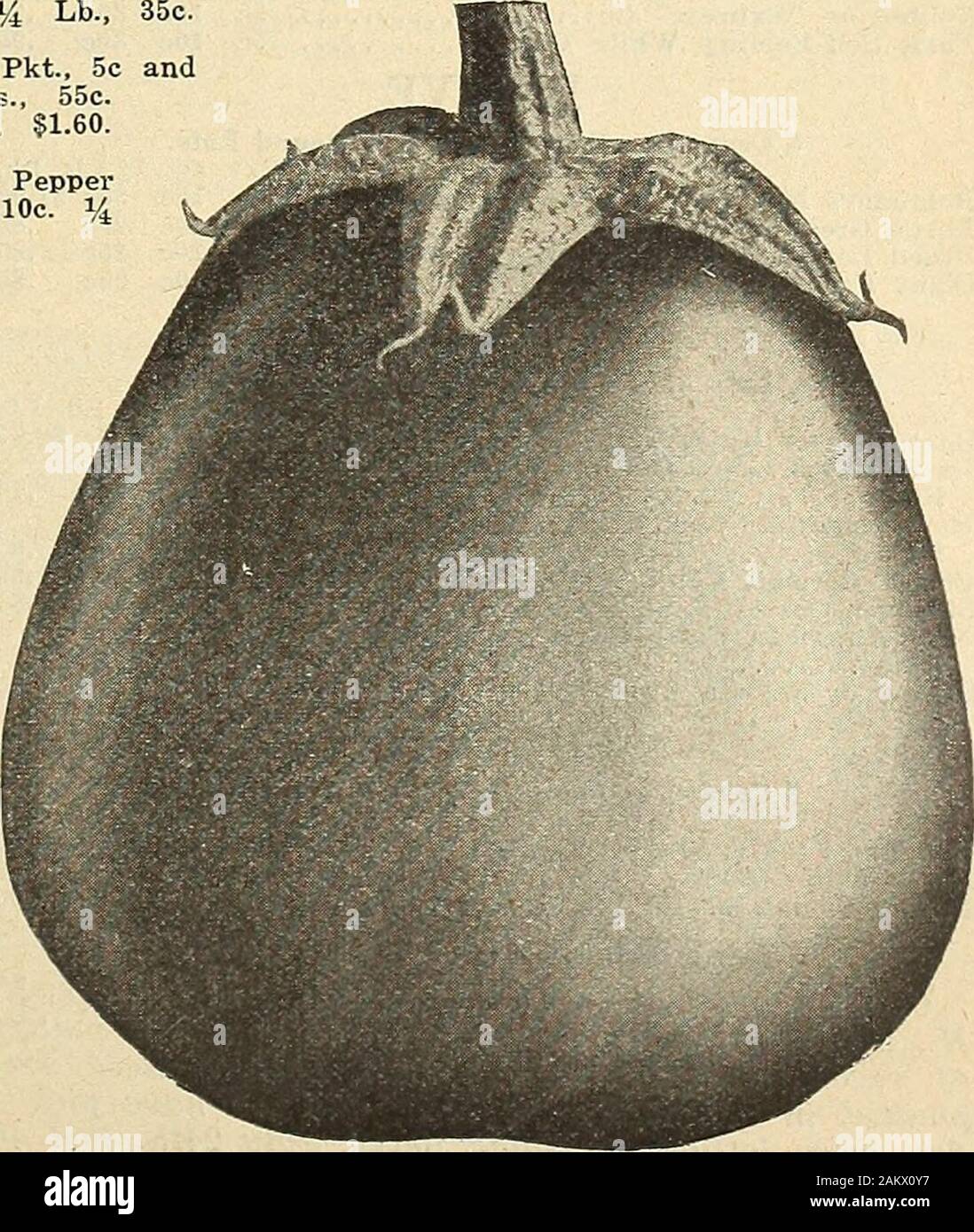 Bolgiano's "Big krop" Saatgut: 'getestet und Trusted' über ein Jahrhundert markt Winzer und Lkw-fahrer. ew Jersey- große SmoothEgg. Anlage. Pkt., 5 C und 10 C. Oz, 40 C. Es Lb., $ 1.30. Lb, S 4.50. Schreiben Sie für die Preise auf dem £ ar Parcel Post Preise - siehe Seite L6 wollte. Pt. Qt. 4 Qts Pk. Bu. 35 c 55 c $ 1,75 $ 15.30 12,50 $ 25 c 35 c 1,00 1,80 6,50 20 c30 c 0,95 1,65 6,00 20 c30 c 0,95 1,65 6,00 25 c 35 c 25 c 1,00 1,80 6,50 1,15 2,05 7,50 40 C 25 C 40 C 25 c 1,05 1,90 7,00 1,05 1,90 7,00 40 c 25 c 40 c 1,05 1,90 7,00 25 c 4 0 c 1,05 1,90 7,00 25 c 40 c 25 c 1,05 1,90 7,00 1,05 1,90 7,00 40 c 20 c 30 c 0,95 1,65 6,00 25 c 40 c 1,05 1,90 Stockfoto