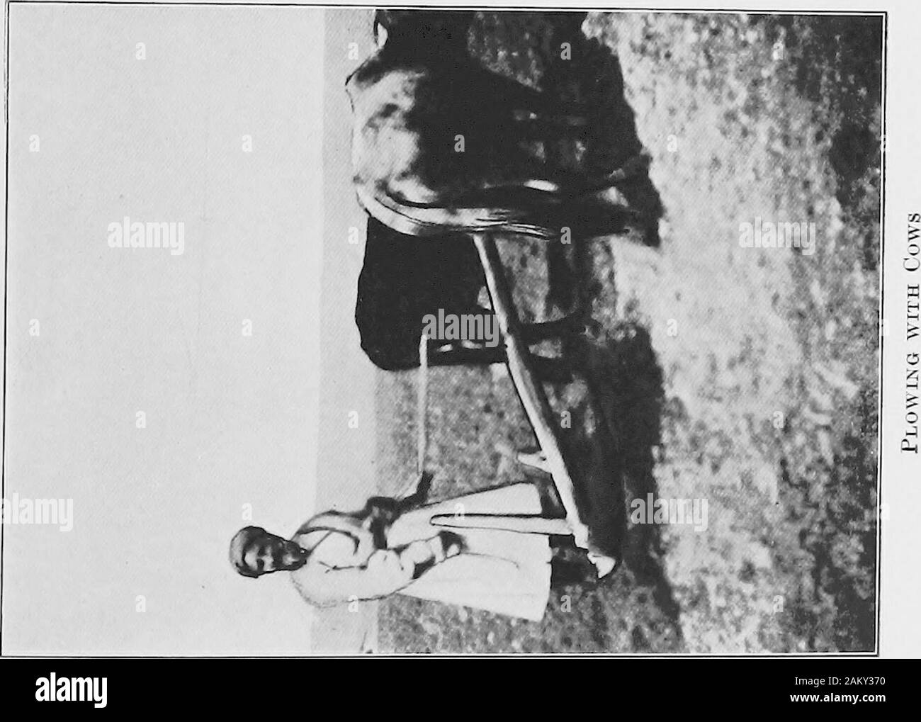 Persien in Vergangenheit und Gegenwart; ein Buch von Reise- und Forschung, mit mehr als 200 Abbildungen und eine Karte. Landwirtschaft HEUTE UND DER ALTEN 247 beim beschlagen mit Eisen (vgl. Av. ayazhdna paiti - darezdna).^ Sucha Pflug, als mit der Schweren für tiefe furrowing Pflug, zu denen mehrere Joch Ochsen angekuppelt sind, ^ist nur hytwo Kühe oder Färsen (vgl. kontrastiert Av. gavd thesurface aziy und nur löst sich von der Erde, wie in der Fotografie, die givesan Idee auch von der Art der ox-GOAD (Av. gavdza) und Gabel (Av. yuyo-semi), sind heute noch in Gebrauch in Persien.* Ein weiteres stockarticle in die Bauern Outfit, die gezeigt Stockfoto