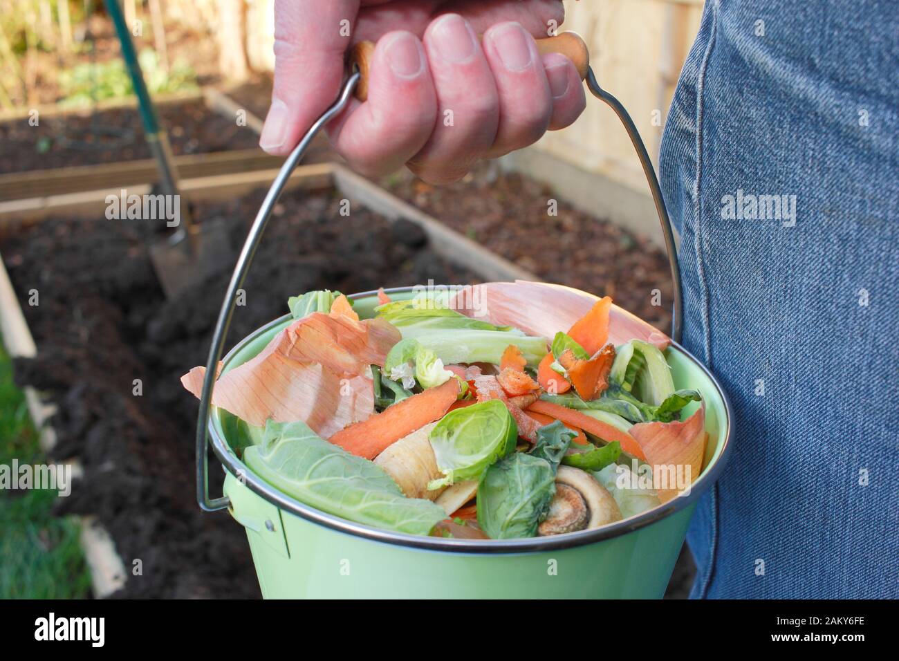Lebensmittelabfälle, wie Gemüse- und Obstschalen, werden in einen heimischen Gemüsegarten zur Herstellung von Kompost gebracht. GROSSBRITANNIEN Stockfoto