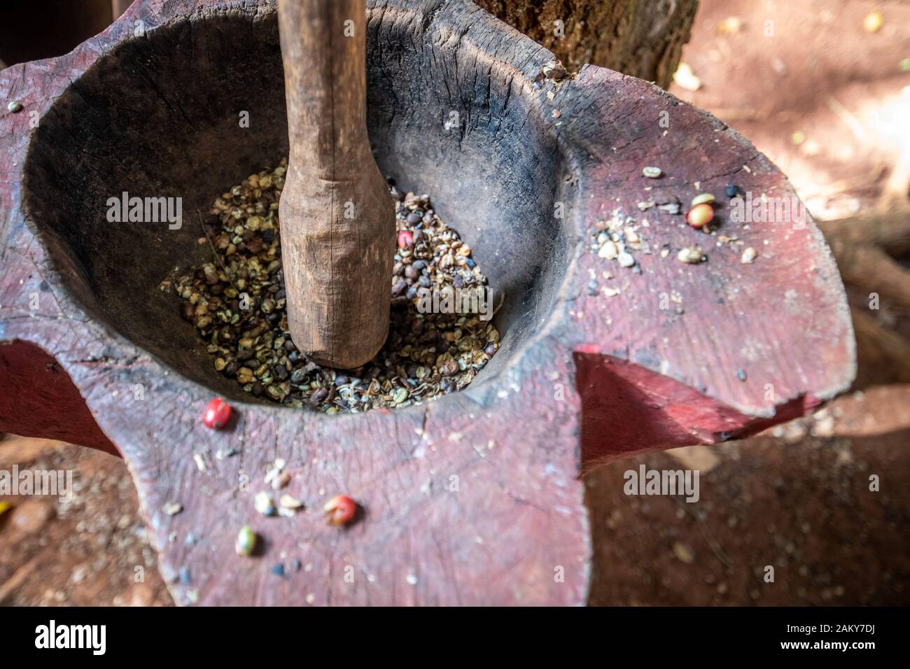 Kaffeebohnen, die Masse von Hand, Vinales, Kuba Stockfoto