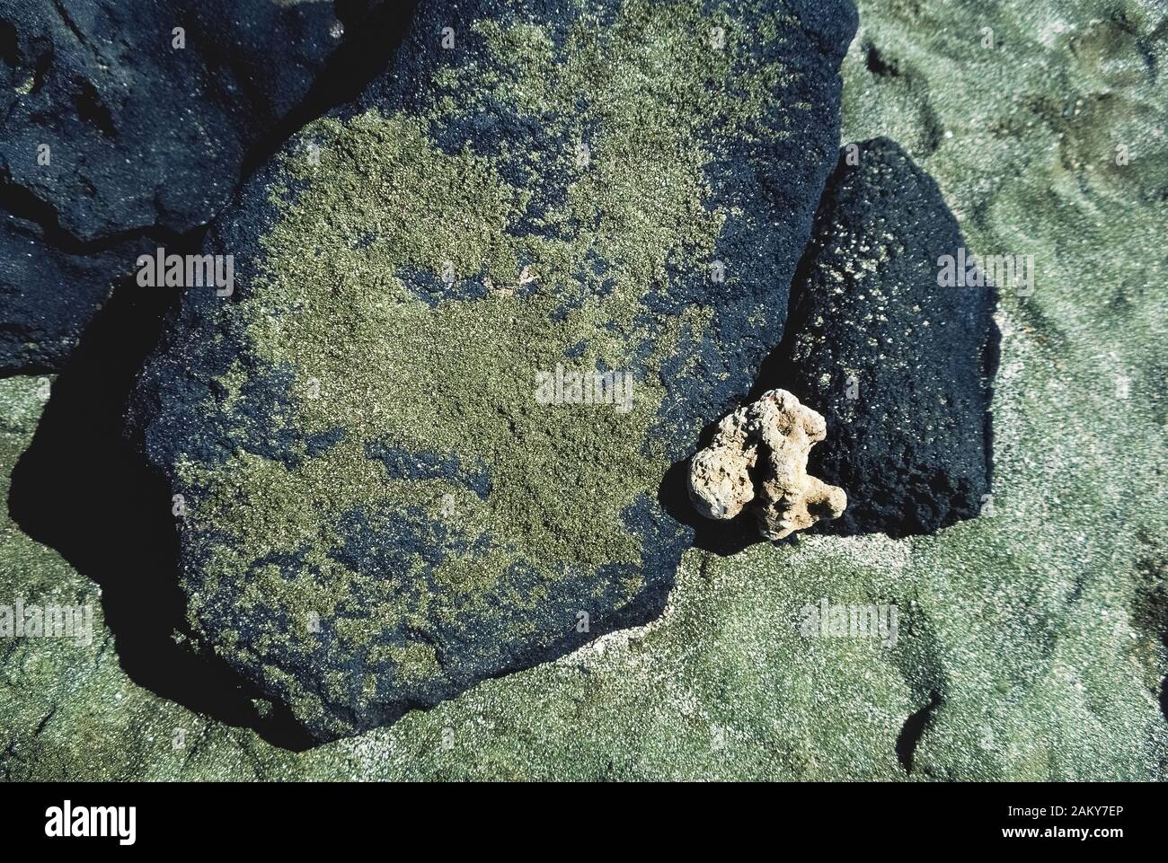 Diese Nahaufnahme zeigt einen Strand mit seltenen grünen Sand durch fragmentierte Kristalle aus Olivin erstellt, ein Mineral aus der Lava Schlackenkegel, dass bei einem Ausbruch des Mauna Loa Volcano über 49.000 Jahren in der Nähe der Südspitze der Großen Insel von Hawaii in Hawaii, USA gegründet. Papakōlea Strand, auch als Mahana Beach bekannt, wird häufiger Green Sand Beach genannt und ist einer von nur vier Strände in der Welt, die Grünen wegen der großen Menge von dichten glasigen Olivin-kristallen, aus denen die meisten Sand erscheinen. Stockfoto