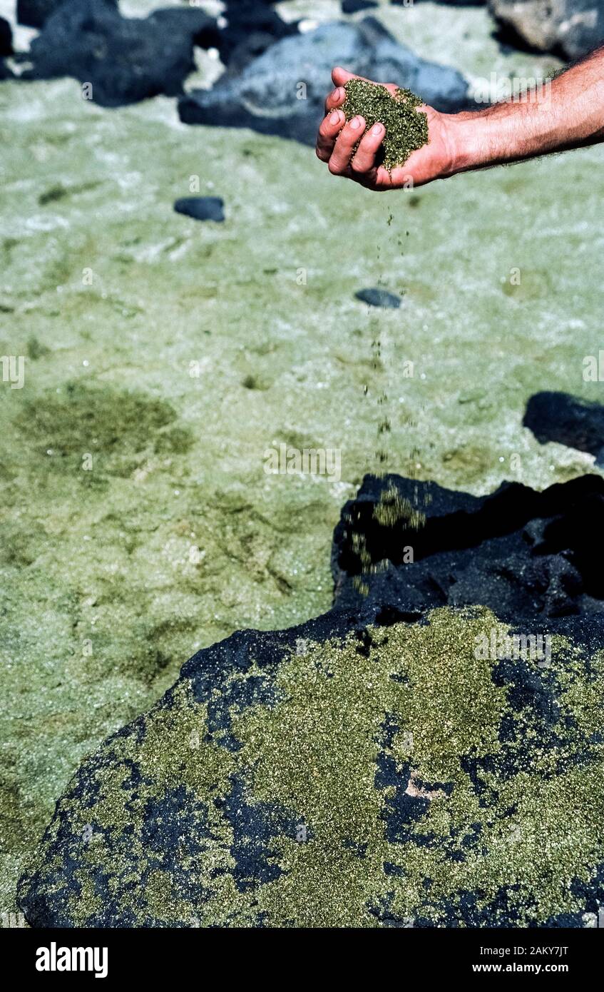 Ein Mann hält eine Handvoll feuchten grünen Sand er von remote Papakōlea Strand in der Nähe der Südspitze der Großen Insel von Hawaii in Hawaii, USA ergriff. Die seltenen grünen Sand ist durch fragmentierte Kristalle aus Olivin erstellt, ein Mineral aus der Lava Schlackenkegel, dass bei einem Ausbruch des Mauna Loa Volcano über 49.000 Jahren gebildet. Papakōlea Strand, auch als Mahana Beach bekannt, wird häufiger Green Sand Beach genannt und ist einer von nur vier Strände in der Welt, die Grünen wegen der großen Menge von dichten glasigen Olivin-kristallen, aus denen die meisten Sand erscheinen. Stockfoto