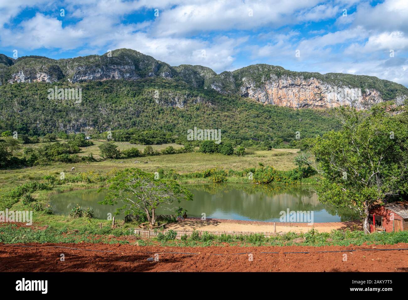 Eine kleine Farm neben einem Teich im Tal von Vinales, Vinales, Kuba Stockfoto