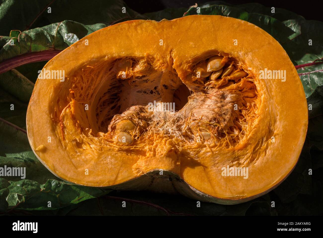 Frischer Kürbis aus biologischem Anbau. Ein ideales Essen für vegetarische und vegane Ernährung Stockfoto