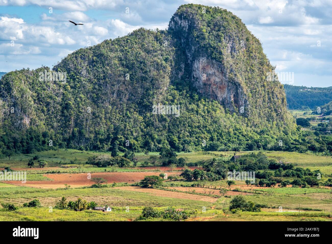 Die Berge ragen über einen Bauernhof im Tal von Vinales, Vinales, Kuba Stockfoto