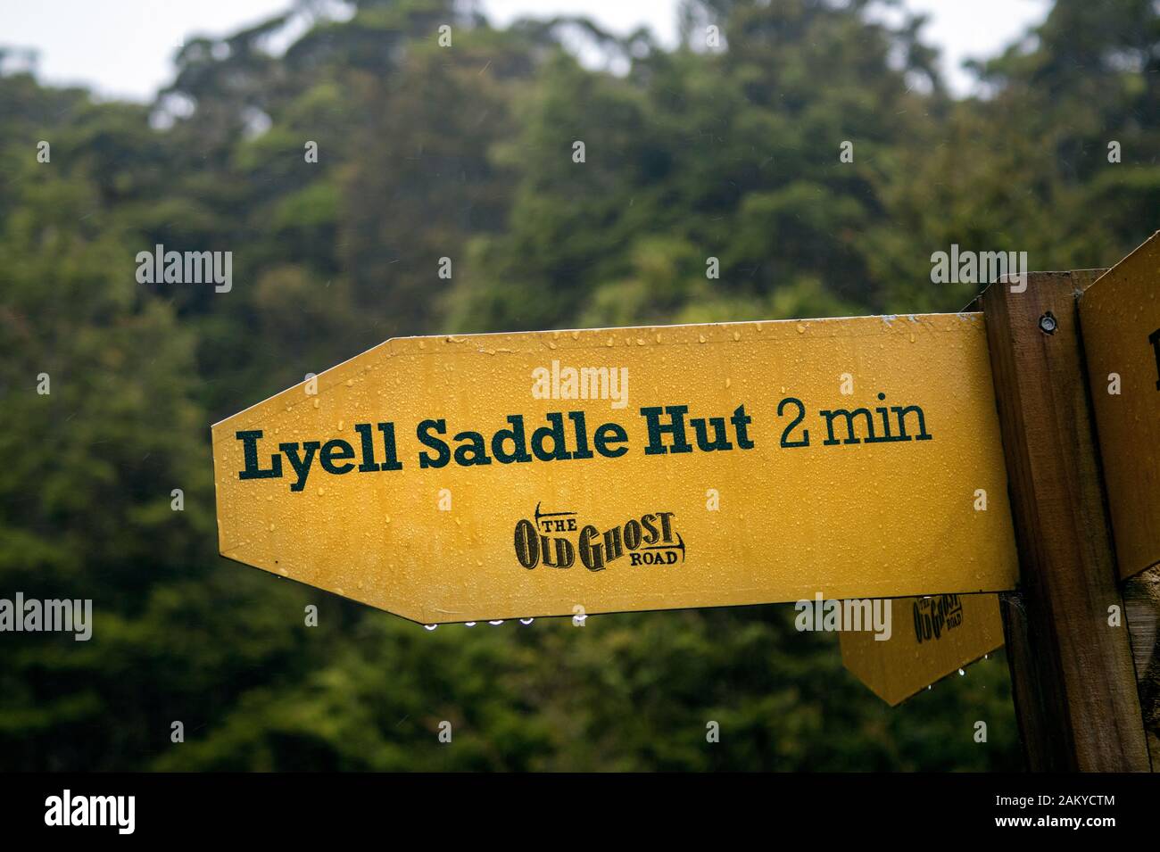 Gehen Sie auf dem Old Ghost Road Trail, Lyell nach Seddonville, Neuseeland. Wegweiser bei Lyell Saddle Stockfoto