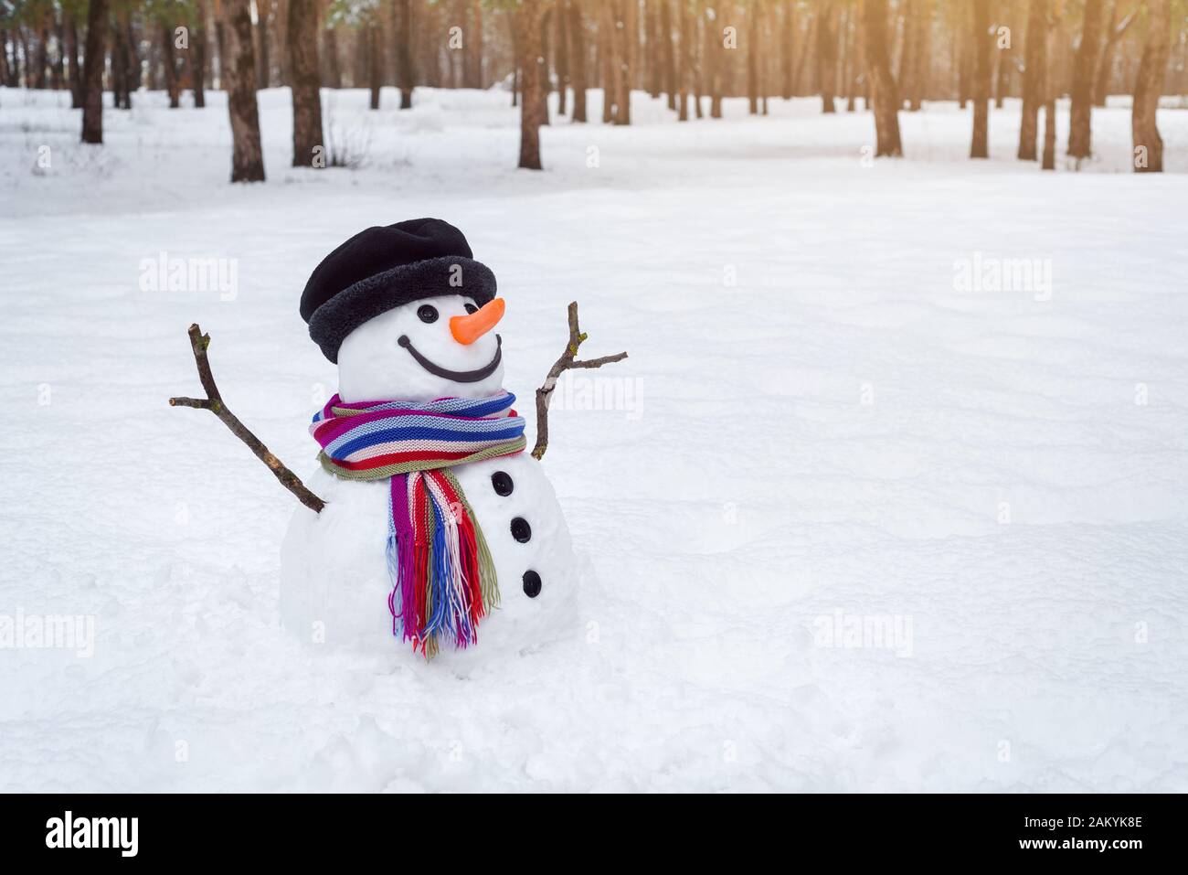 Lächelnder Schneemann in einem Stadtpark. Winterspaß für Kinder nach Schneefall. Weihnachtskarte mit Platz für Text Stockfoto
