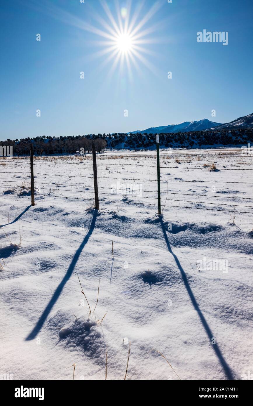 Lange Schatten von Stacheldraht zaun & Holzzaun Beiträge geworfen; Schnee Weide; Ranch in Colorado, USA Stockfoto