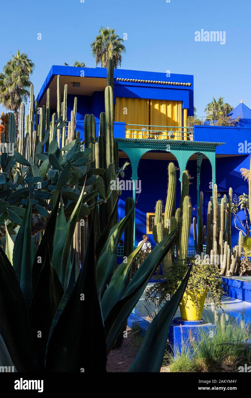 Jardin Majorelle, Marrakech Stockfoto