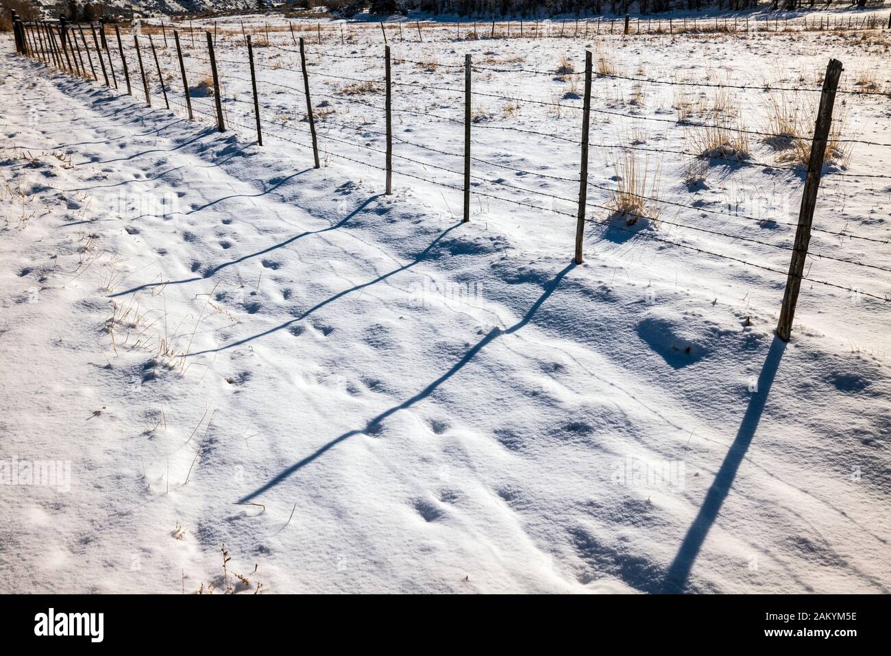 Lange Schatten von Stacheldraht zaun & Holzzaun Beiträge geworfen; Schnee Weide; Ranch in Colorado, USA Stockfoto
