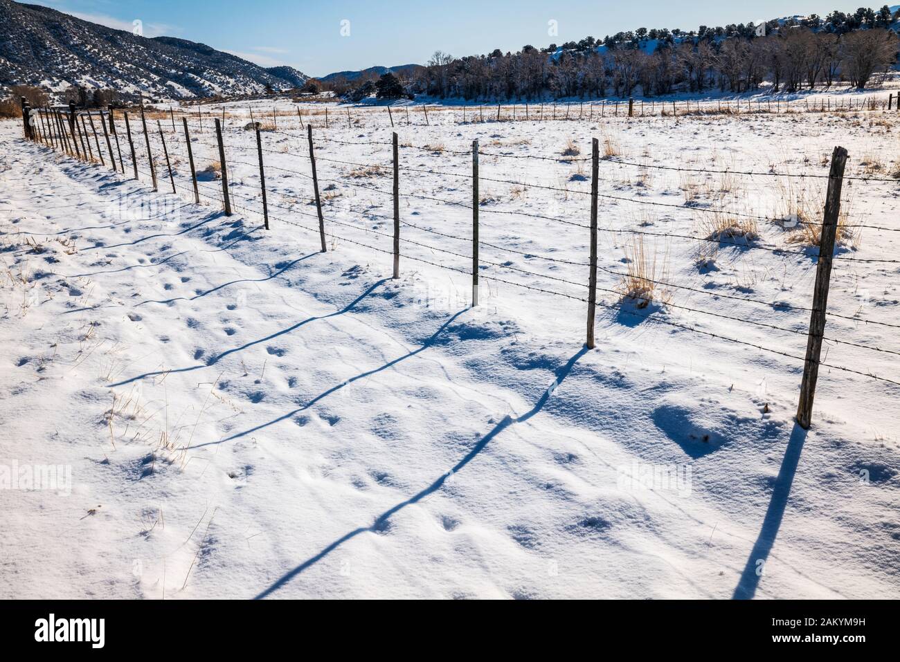 Lange Schatten von Stacheldraht zaun & Holzzaun Beiträge geworfen; Schnee Weide; Ranch in Colorado, USA Stockfoto