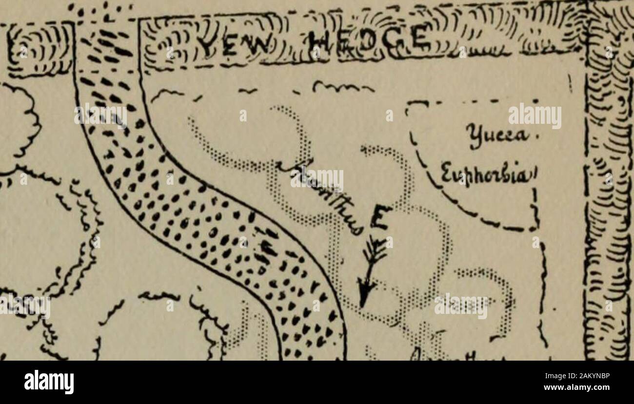 Farbe in den Blumengarten. fad-,, uffvlSK;:-4:.* ^^; ------- vv £ - *; • V d Wenn / £ "Ich* & WP&E? Ich^^. V n $ m/J J-JtaCtt? ) • - ^1:?/3 HI XL STRAUCHPÄONIEN^ U" STRAUCHPÄONIEN ich;! Rote PRIMELN ©®}&gt; •/.??v-v y, U, 1,??? V 1-1??? •-II. - Ich, uiii -???n. Ich ... ich." r?grTw^ *ww*? ????? -.?.?? -?? ,.-?. O I I R&gt; "n | S O BQ R DE^R Kranke i o n J10 SO^ "C*1 PLAN DER SPRING GARDEN. 24 FARBEN IM BLUMENGARTEN einige Gruppen der Schwarzen Nieswurz, nur geben, dass kom-fortable Eindruck der Dauerhaftigkeit und ausgeprägte inten-tion, die normalerweise so kläglich aus gardensof Frühling Blumen abwesend. Viele jahr Stockfoto