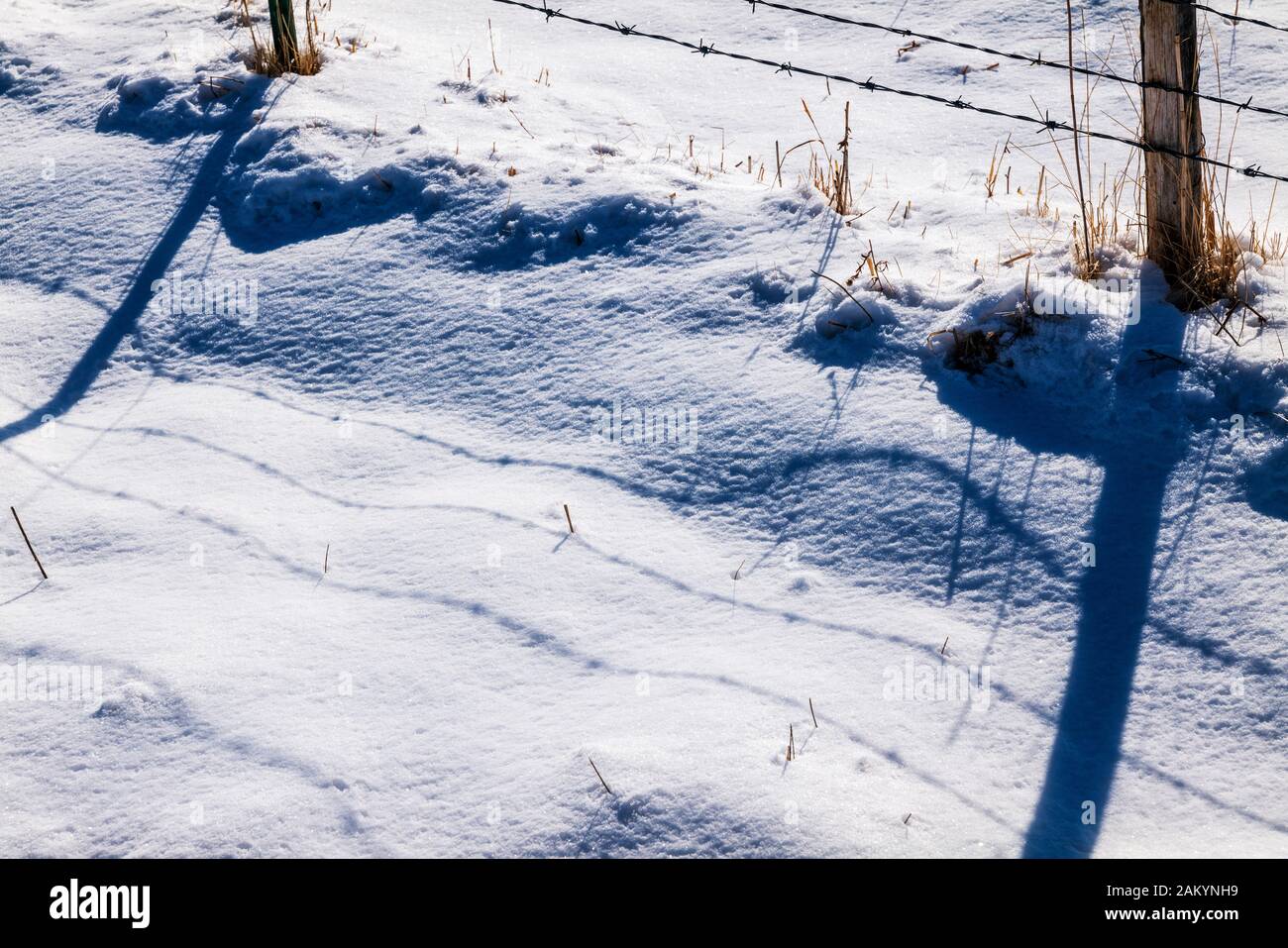Stacheldraht zaun & Holzzaun post erstellen Schatten Muster im Schnee; Ranch in Colorado, USA Stockfoto