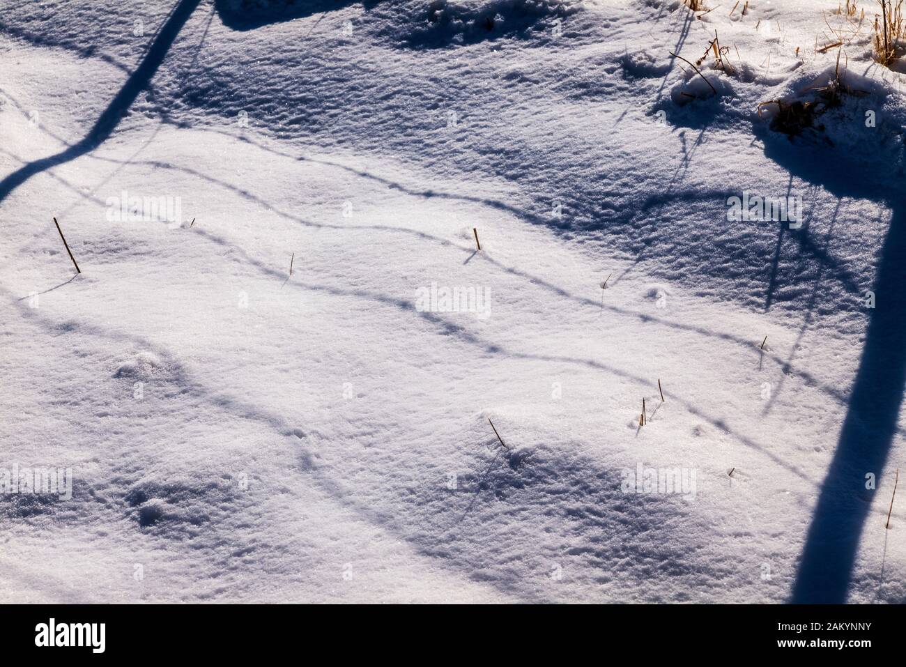 Stacheldraht zaun & Holzzaun post erstellen Schatten Muster im Schnee; Ranch in Colorado, USA Stockfoto