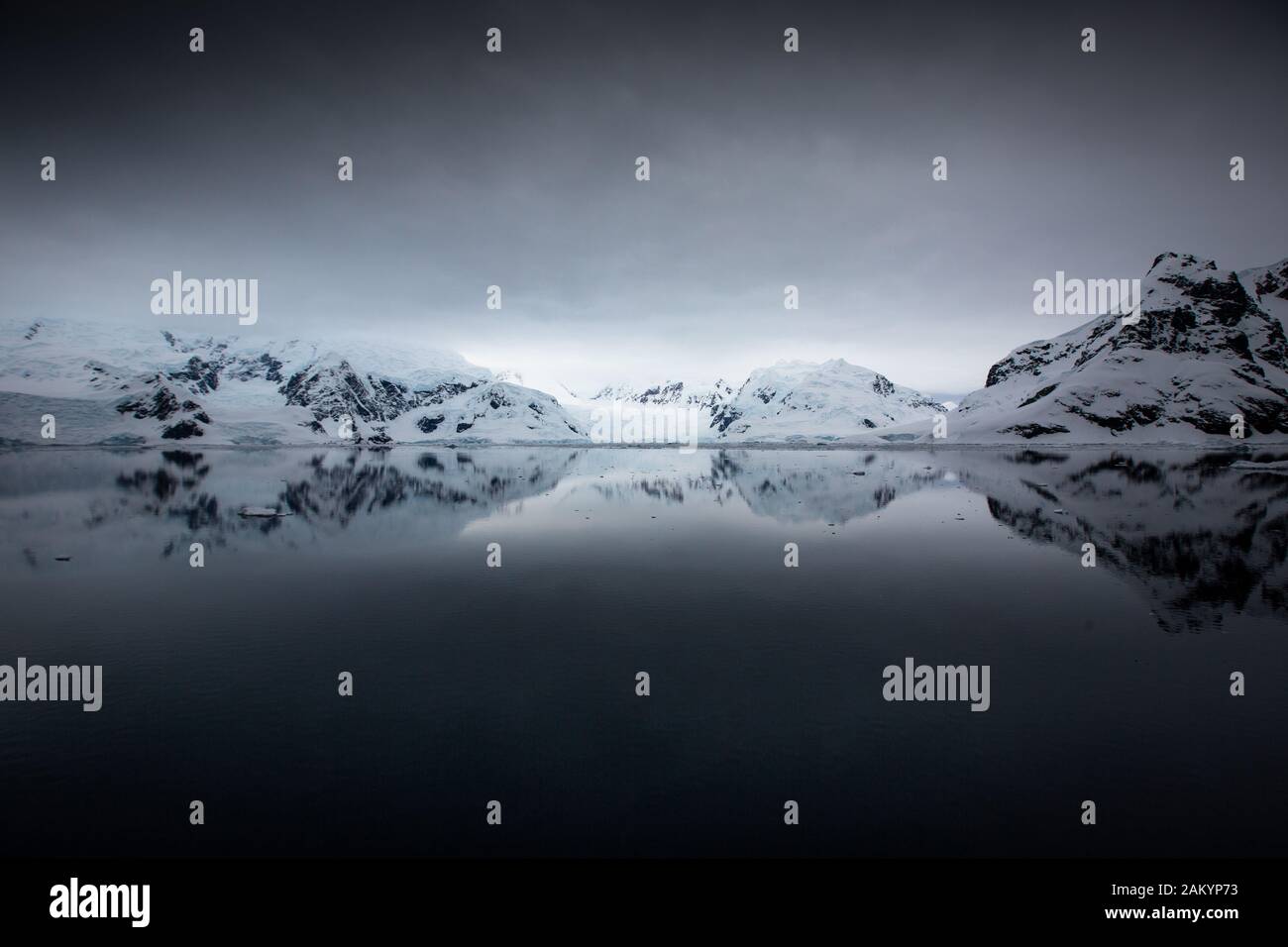 Gletschereis, Braschereis, Eisberge vor den Bergen und Gletschern der Paradise Bay mit Ozeanspiegelungen, die atmosphärisch überfluten, Antarktis Stockfoto