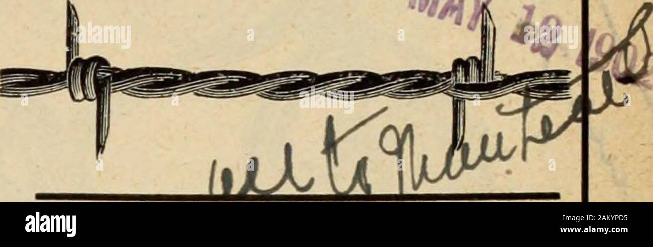 Hardware Merchandising (Januar-Juni 1902). Wenn andere failyou, testen Sie uns - Es willpay sie. Verzinktes Eisen, Schwarze Blätter, Kanada Platten, terneblech Platten.. Die KANADA HARDWARE CO., Limited MONTREAL Lager: 43-45 GEMEINSAME ST. Geschäftsstellen: 10 DE BRESOLES ST. Gegründet 1750 Stockfoto