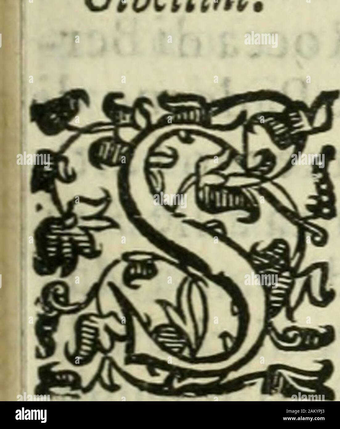 Delle Historie bresciane di MHelia dodeci Cavriolo libri: ne'qvali si vede l'origine et antichità della Città Brescia, kommen fv delle Prime che venesse alla Fede, il nvmero de Martiri, et de Vescovi canonizati: Le gverre, ich Sacchi, e le rovine di qvella: tutti i suoi Signori, et kommen peruenne Sotto il felicissimo Dominio venetiano. tti andata fono Vifconti vi reftòfin Tanto che Tandolfo Malat-fta Capitano della Ducbeffa Caterina fé ne impadronì con Frode&gt; ma perocon confento de Guelfi Brefciani, ckey & dw VifcontU & dw MiniSiri fuoibautano patito grandemente&gt;&lt;&in particolare nel Stockfoto