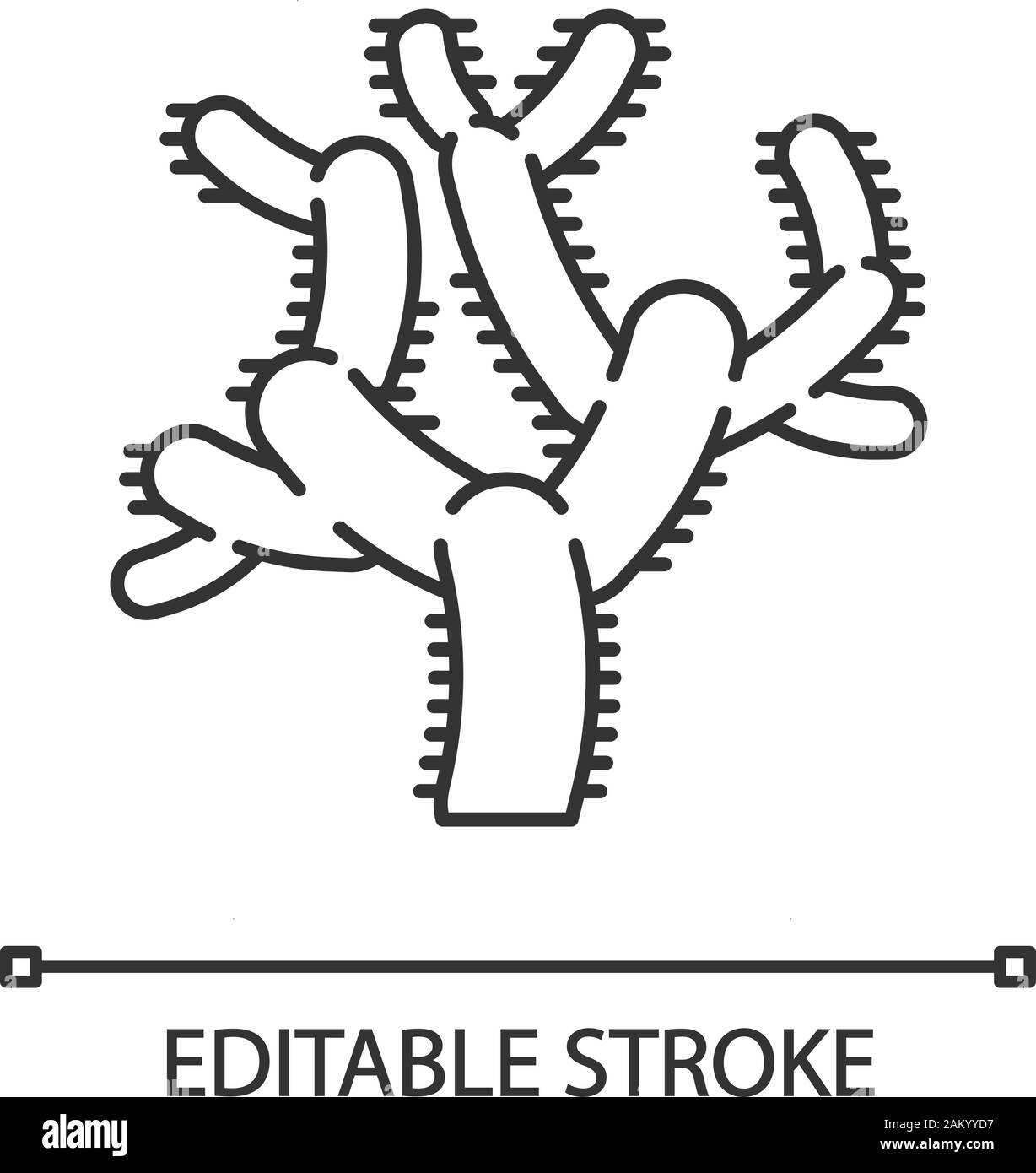 Teddybär cholla Cactus lineare Symbol. Cylindropuntia. Cylindroid Gelenkwelle Kakteen. Amerika tropischen Anlage. Dünne Linie Abbildung. Kontur Symbol. Stock Vektor