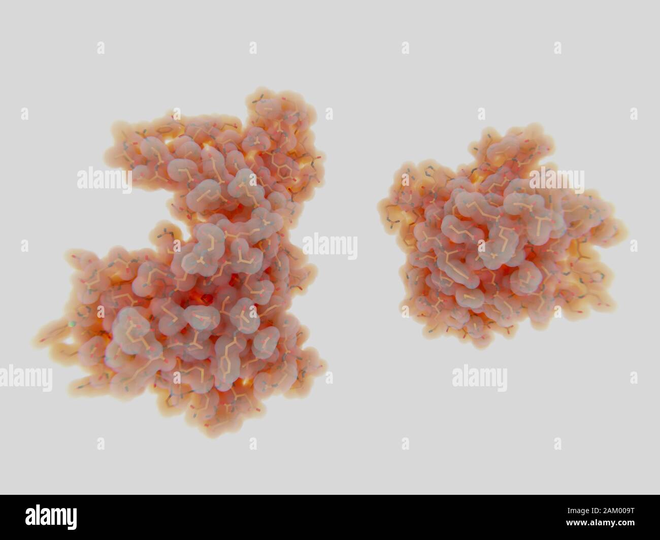 NEK7-Kinase in inaktiven und aktiven Formen, Molekularmodell Stockfoto