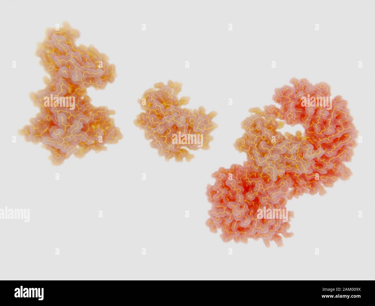NEK7 Kinase-Bindung an NRLP3 Inflammasom, Molekularmodell Stockfoto