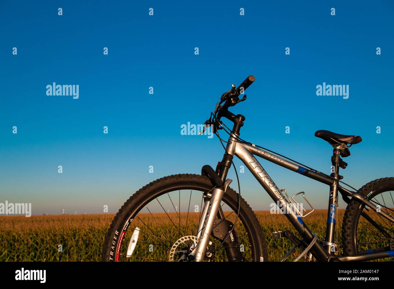 Trek Fahrrad auf einem Dachträger mit Maisfeld im Hintergrund. Stockfoto