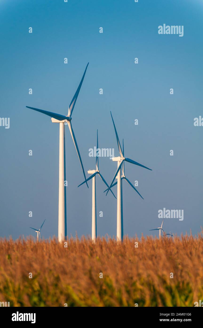 Ein Bereich großer Windkraftanlagen in Dexter Minnesota, USA Stockfoto