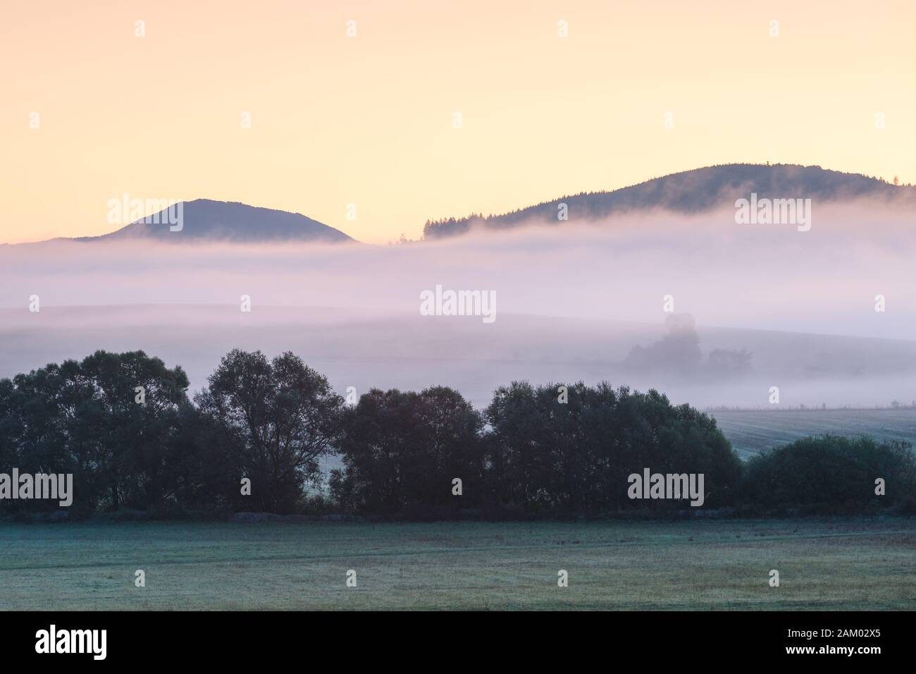 Bäume in die Felder in den Ausläufern des Velka Fatra Gebirge, Slowakei. Stockfoto