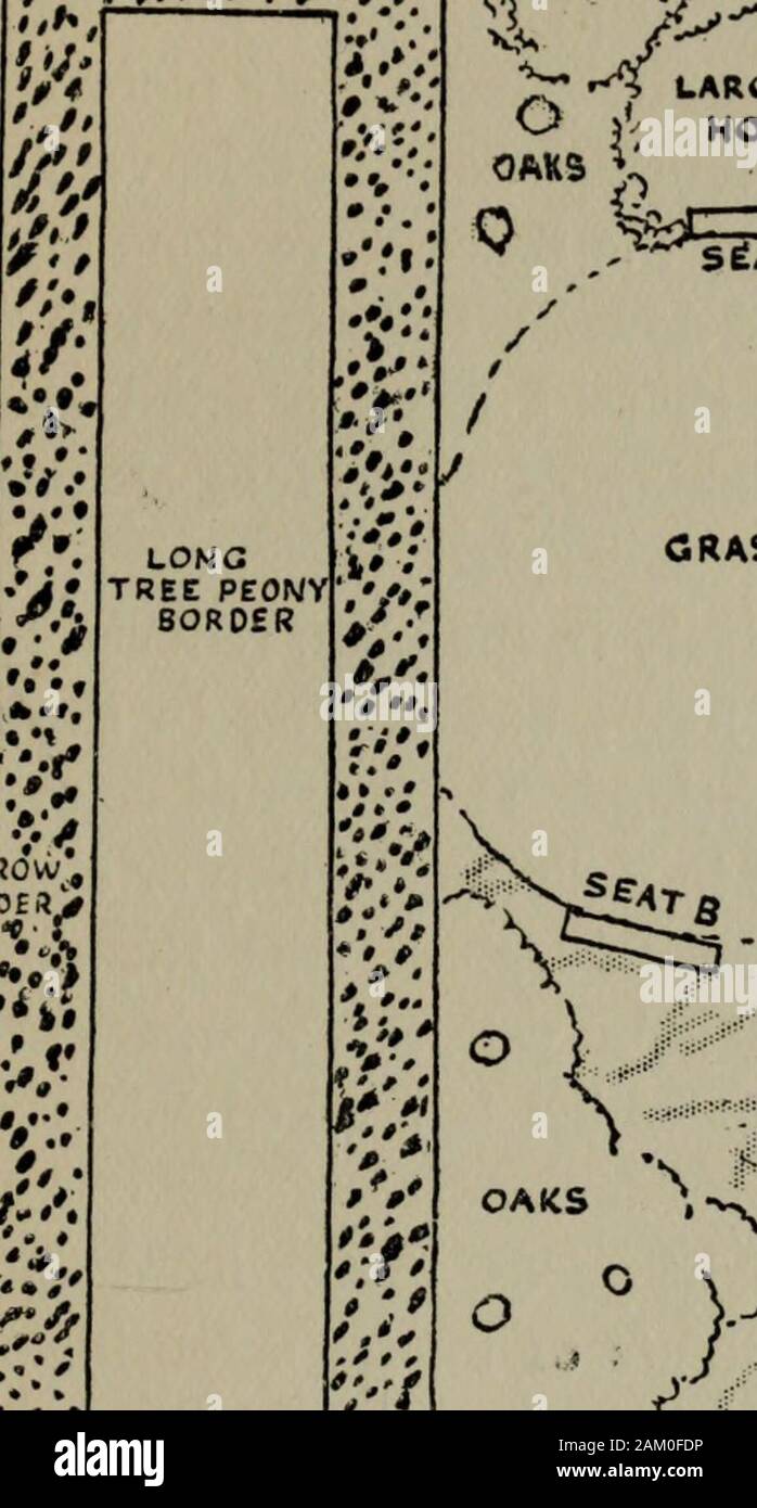 Farbe in den Blumengarten. fad-,, uffvlSK;:-4:.* ^^; ------- vv £ - *; • V d Wenn / £ "Ich* & WP&E? Ich^^. V n $ m/J J-JtaCtt? ) • - ^1:?/3 HI XL STRAUCHPÄONIEN^ U" STRAUCHPÄONIEN ich;! Rote PRIMELN ©®}&gt; •/.??v-v y, U, 1,??? V 1-1??? •-II. - Ich, uiii -???n. Ich ... ich." r?grTw^ *ww*? ????? -.?.?? -?? ,.-?. O I I R&gt; "n | S O BQ R DE^R Kranke i o n J10 SO^ "C*1 PLAN DER SPRING GARDEN. 24 FARBEN IM BLUMENGARTEN einige Gruppen der Schwarzen Nieswurz, nur geben, dass kom-fortable Eindruck der Dauerhaftigkeit und ausgeprägte inten-tion, die normalerweise so kläglich aus gardensof Frühling Blumen abwesend. Viele jahr Stockfoto