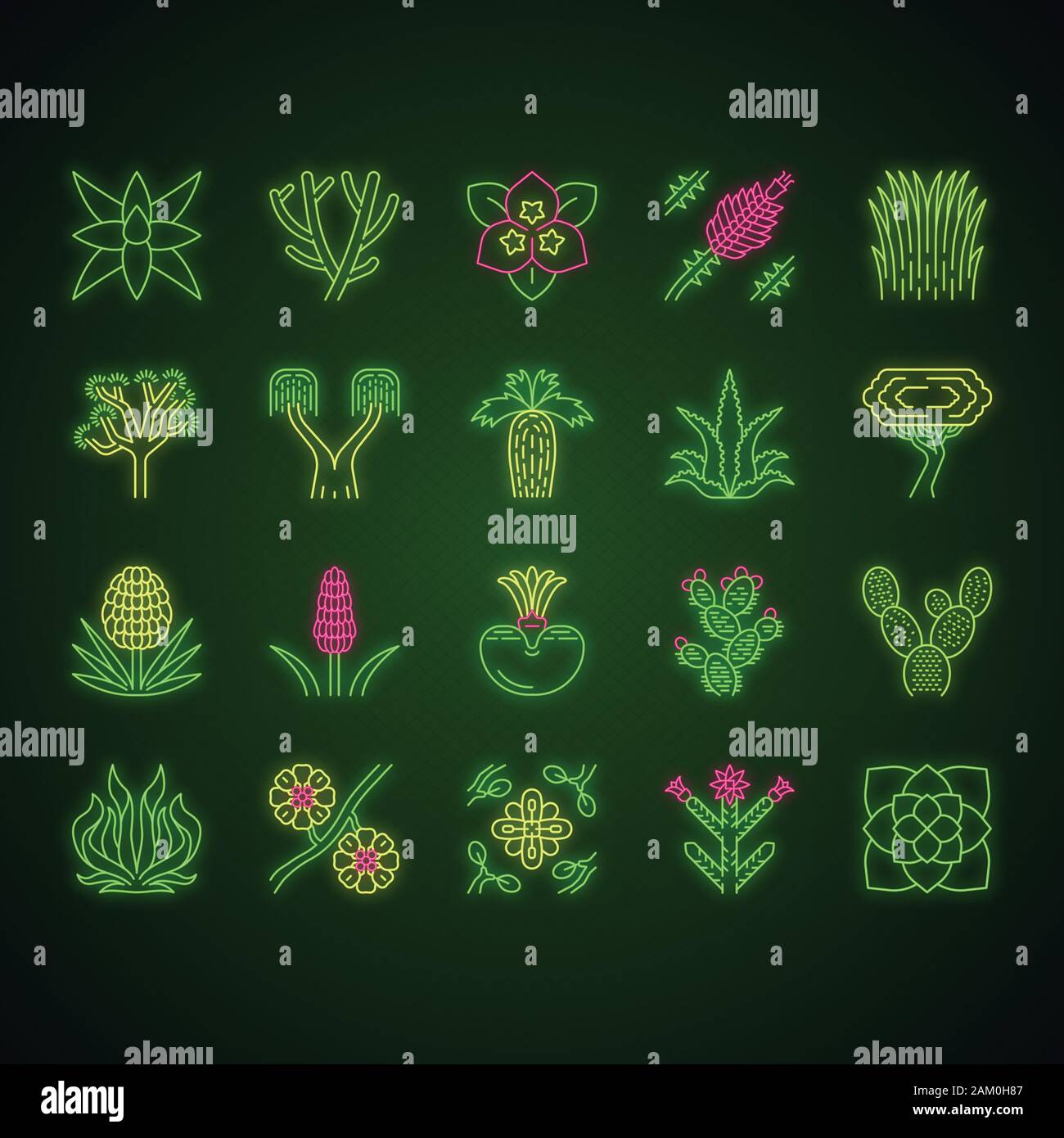Wüstenpflanzen Neon Licht Symbole gesetzt. Exotischen Pflanzen. Kalifornien Wüste Kakteen, Gras und Bäumen. Amerikanische und mexikanische Sukkulenten, Palmen. Leuchtende Zeichen. Vec Stock Vektor
