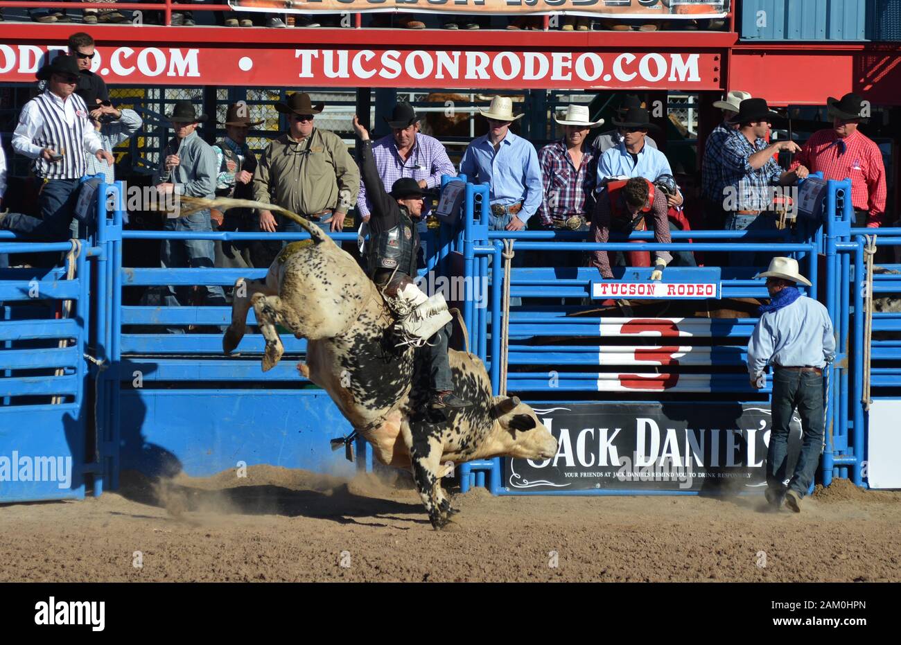 Tucson Rodeo 0268 Stockfoto