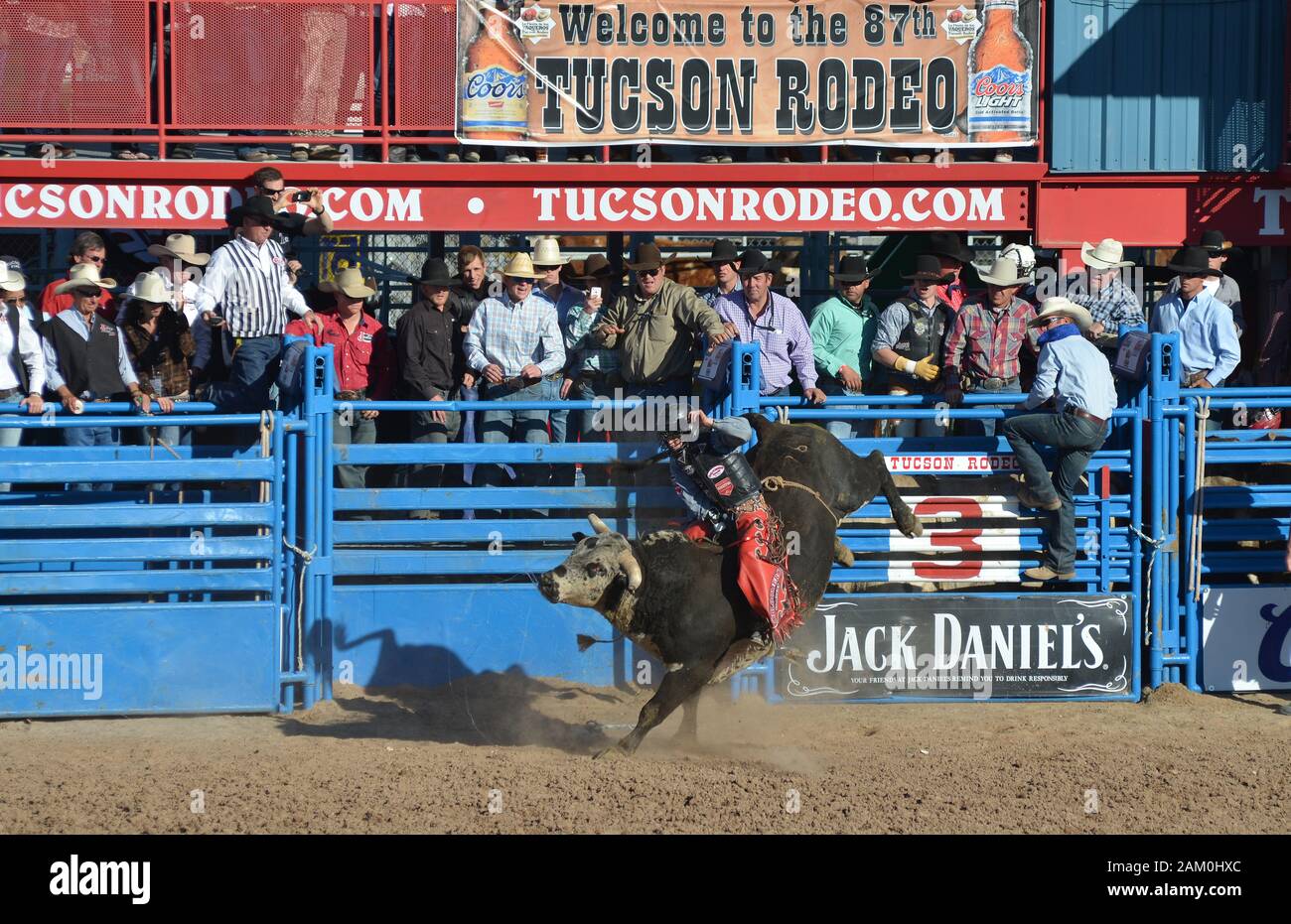 Tucson Rodeo 0296s Stockfoto