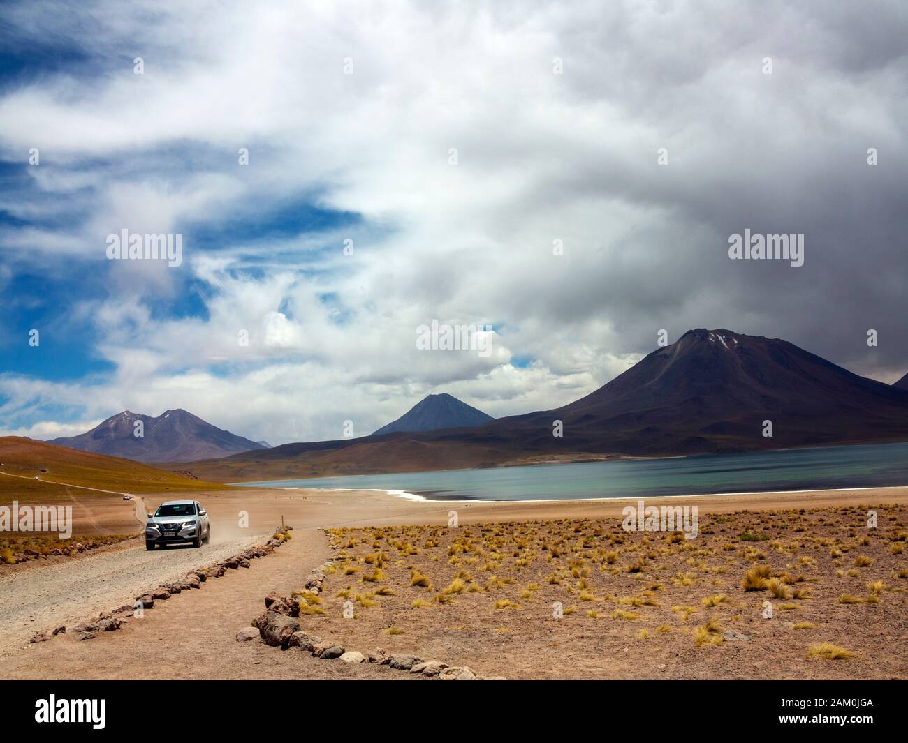 Miscanti Vulkan im Hintergrund und Miscanti Lagune im Vordergrund, Atacama-wüste, Chile Stockfoto