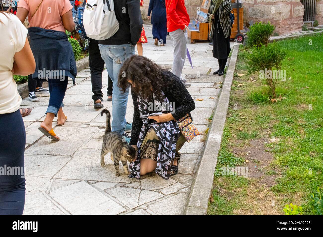 Ein weiblicher Tourist mit einem Katzentuch an Haltestellen, um eine streunende Katze im Hagia Sophia Museum in Istanbul, Türkei, zu streicheln. Stockfoto
