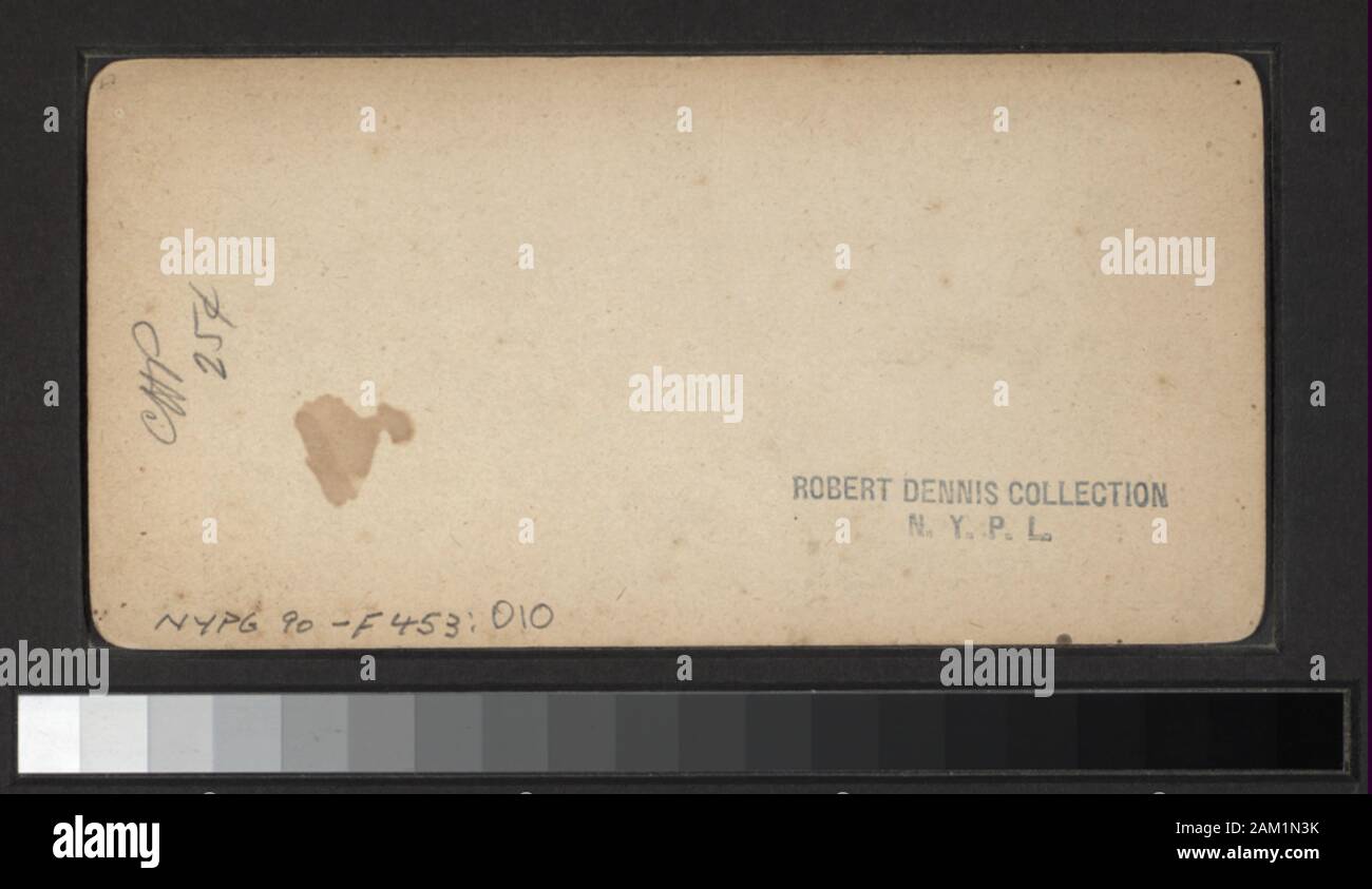 Die Palisades vom Berg Haus Blick von E.&HT Anthony, G.G. Rockwood, H.S. Wyer und andere Fotografen und Verlage. Outdoor Porträts. Robert Dennis Sammlung von stereoskopische Ansichten. Blick auf die Palisaden in dem westlichen Ufer des Hudson River in New York und New Jersey, mit Blick auf die Felsen, Fluss und Verkehr, Touristen, eine Fernsicht von Yonkers aus der Palisaden und Picknicken am Ft. Lee.; Die Palisaden aus dem Mountain House. Stockfoto