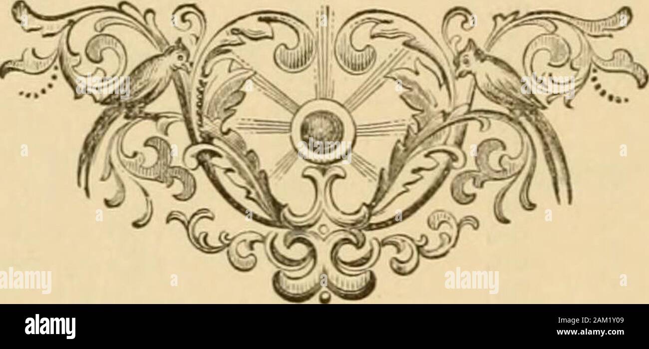 Die Berichte der Inspektoren der Minen der Steinkohle Regionen von Pennsylvania für das Jahr 1884. d Macfarlane,.. George John,. . Tun. .... Milton Trommel,... tun. .... Tun. .... John tragen, tun. .... John S. Jacobs. Thomas W. Howells. R. Hopkins, Robert Russel, Name des Inneren Vorder- Mann. Peter Watson. J James Durkln. William Porter. Hy. Youngscourt. John Scott. Conrad Miller. Benjamin Rees. John W. Fähre. William Fatkin.< Isaac I). William. Patrick Boyce. David James. Evan Watkin. Adam Sacks. Rees Davis. Thomas W. Howells, T. R. Edwards. William Cooke. Johannes Gundry. Josia. lenkins. William James.<t Benj Stockfoto