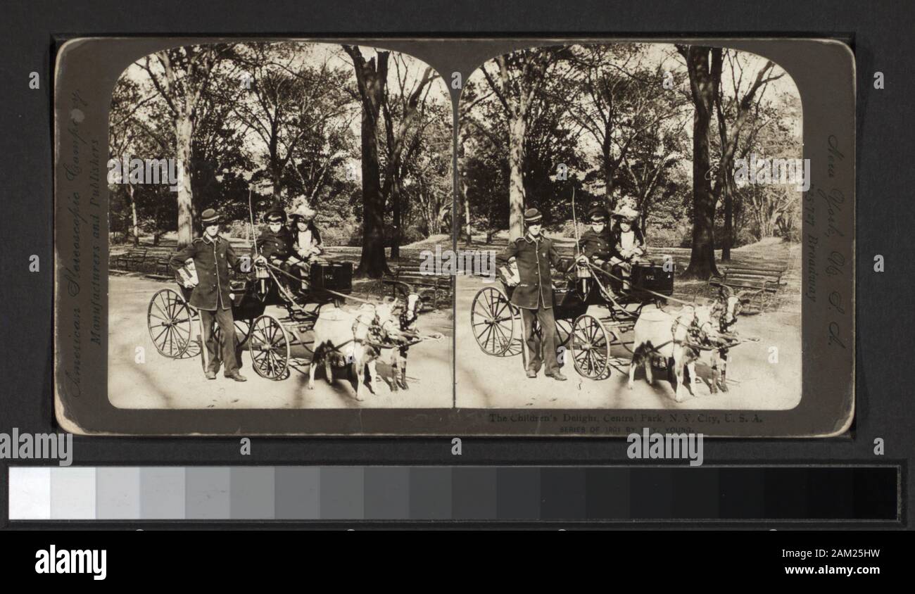 Die Kinder begeistern, Central Park, New York City, USA Blick von C. Seaver, D. Barnum, Alfred S. Campbell und andere Fotografen und Verlage. Robert Dennis Sammlung von stereoskopische Ansichten. Titel von Cataloger'. Blick auf Kutschen im Central Park: Blick von der Ziege carriges für Kinder, einige von den afrikanischen Amerikanern, einige von heranwachsenden Jungen in Livree angetrieben; Kutschen in Straßen, vor dem Metropolitan Museum der Kunst, in der Nähe von Brunnen; Portrait von zwei Männern, die in oberen Hüte in kleinen Buggy von Pony gezogen; man sitzt hoch oben eine Bewässerung Warenkorb.; die Kinder begeistern, Central Park, New York City Stockfoto