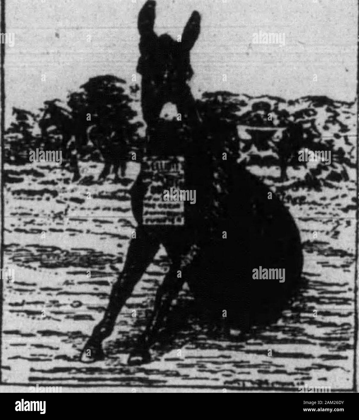 Boone County Recorder. rsbure-Bon O^ler, Wednesdayafter erste Montag, und L.A. Loder fonrthSaturday. Wm. Passon?, Constable Biber-R. A. Connelly, Freitag nach dritten Montag, und W.C. Johnson, Freitag nach ersten Montag - T.J. Coylo, Constable. Union - M.C. Norman, Donnerstag afterthird Montag, und H. Bannister, Do-Tag Nach dem zweiten Montag. N. W. BurkettConstable. Hamilton - G. W. Baker, Dienstag aft-er zweiten Montag; J.A.Holz, * Mi - Nesday nach dem dritten Montag. R. L. RobertsConstable. Walton-T. F. Curl" y, zweite Freitag. W. G. SUnsfer, Dienstag nach dem zweiten Fr-Tag John Watson, Constable. Veront-J. Stockfoto