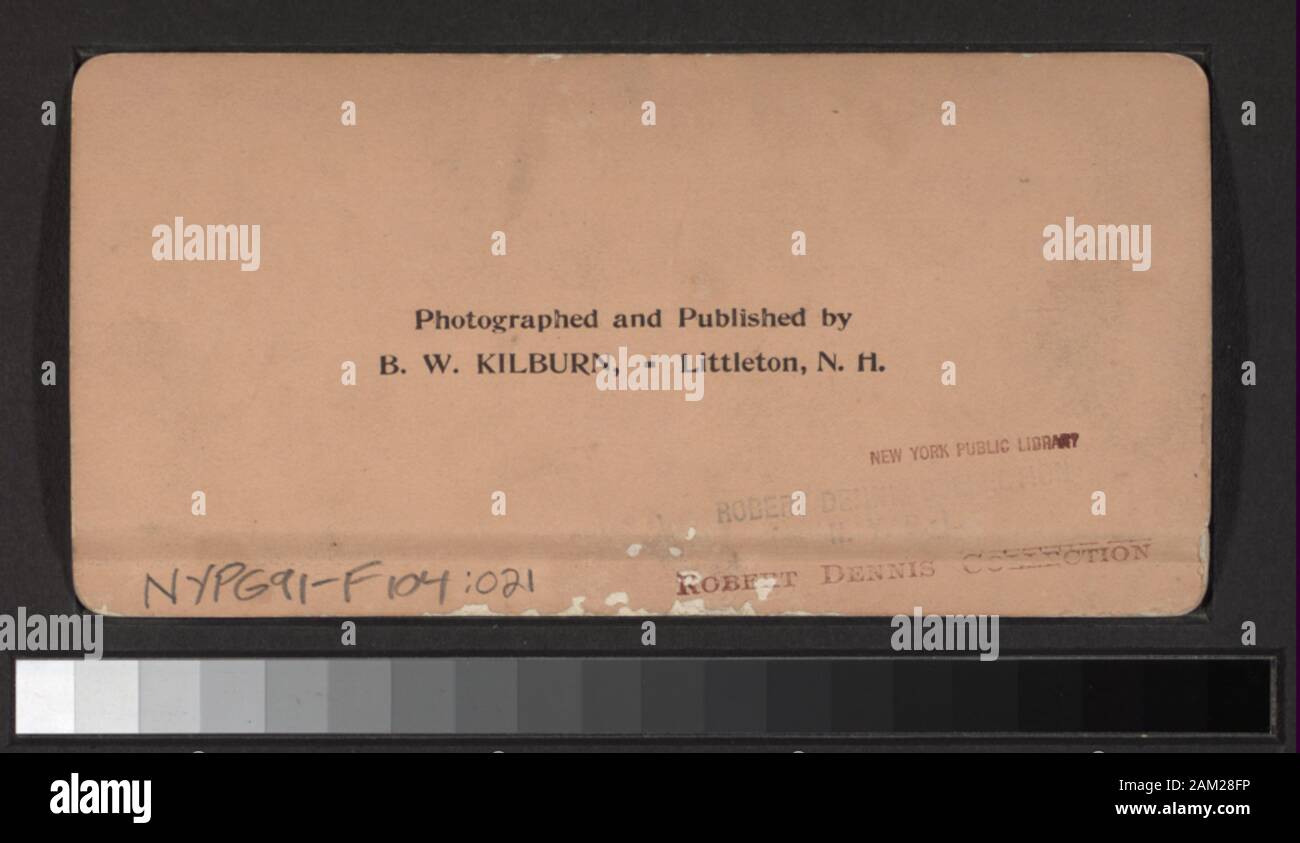 Das glas Kleid, Pan American Exposition beinhaltet Ansichten von George Barker, L.E. Walker, C.L. Teich und andere Fotografen und Verlage. Man hat Blick auf den Washington Monument, in Washington, D.C., auf der Rückseite. Robert Dennis Sammlung von stereoskopische Ansichten. Titel von Cataloger'. Blick von Buffalo, N.Y., einschließlich allgemeiner und Straßenszenen, Parks, Häuser, Kirchen, eine Bank; Hafen Szenen einschließlich der Mund der Erie Canal, Segel- und Dampfschiffe, die Aussicht auf den See Erie, darunter ein Leuchtturm und Winter Szenen mit Eis; der Niagara Eisenbahn; der Pan American Exposition, einschließlich Nacht vi. Stockfoto