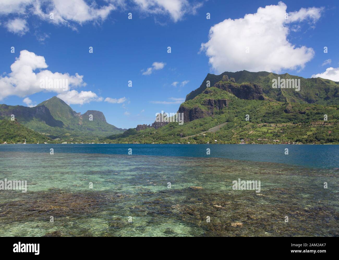 Cooks Bay, Mo'orea, Gesellschaftsinseln, Französisch-Polynesien Stockfoto