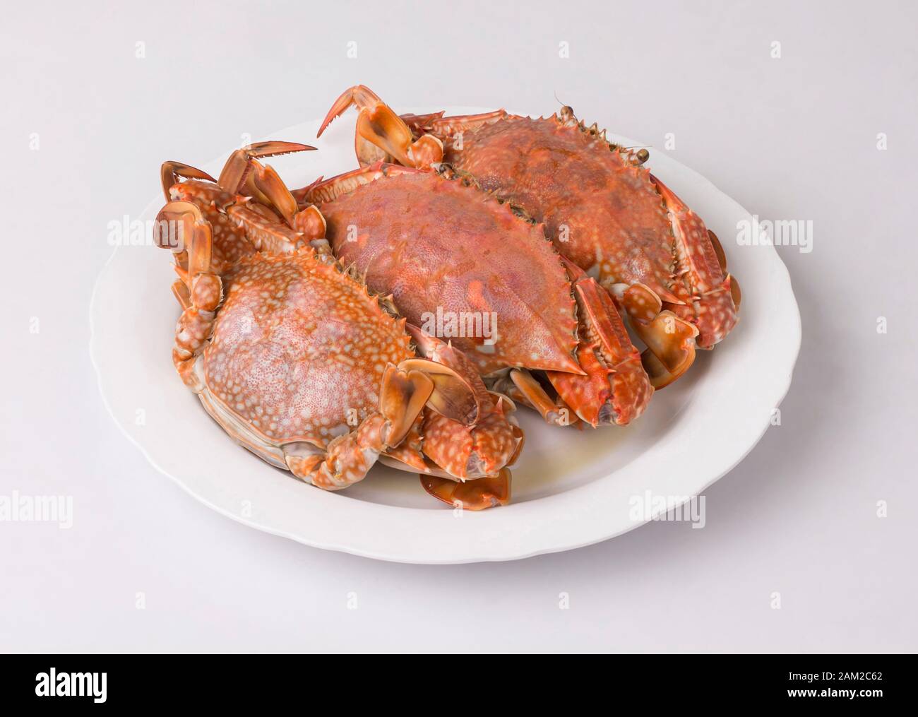 Gedämpfte blaue Krabben auf weißem Gericht isoliert auf weißem Hintergrund Stockfoto
