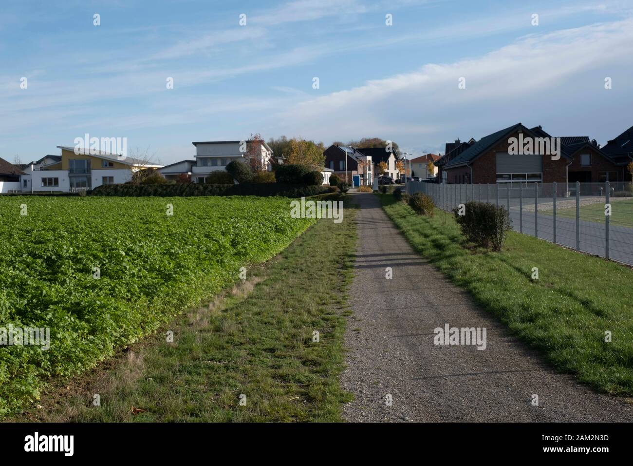 Gasse zum Wohngebiet mit Ernte- und Grünflächen in der neuen Stadt Borschemich Neu, Deutschland Stockfoto