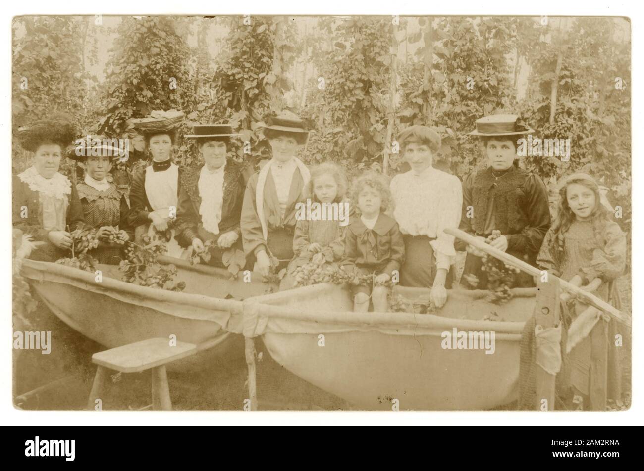 Verblassene Edwardian-Postkarte von Gruppen von Hopfensammlern, Frauen und Kindern, die Hopfenpflücken, die Hopfenbinken oder Reben in den Hopfenbachkorb legen, veröffentlicht aus Hereford, 20. April 1907, aber wahrscheinlich stammt sie vom September 1906, als Hopfen geerntet wurde, Großbritannien Stockfoto