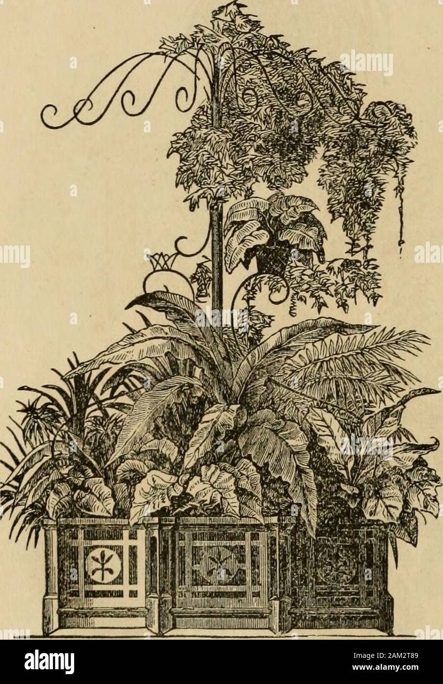 Fenster Gartenarbeit: Speziell für die Kultur von Blumen und Zierpflanzen für den Innenbereich und Salon Dekoration gewidmet. ke: Mehrere Dra-caenas, kleine Palmen, Pan-danus Utilis, Philodendrumpertusum, Alocasia macror - rhiza, fol. var., A. Jenningii, A. Metallica, A. arborea, Croton pictum und C va-riegatum und differentspecies von Maranta, Ama-ryllis Tessani, A. solandrge - Flora, A. und A. vittata Regina, Vallota purpurea, Pitcairnea punicea, Aech - Maja fulgens, Tillandsiafarinosa, pyramidalis andamoena. Eine Komposition von plantswith Dick und fleischig leavesFig. n. Blumenkasten aud Tree trellis. Und Bra Stockfoto