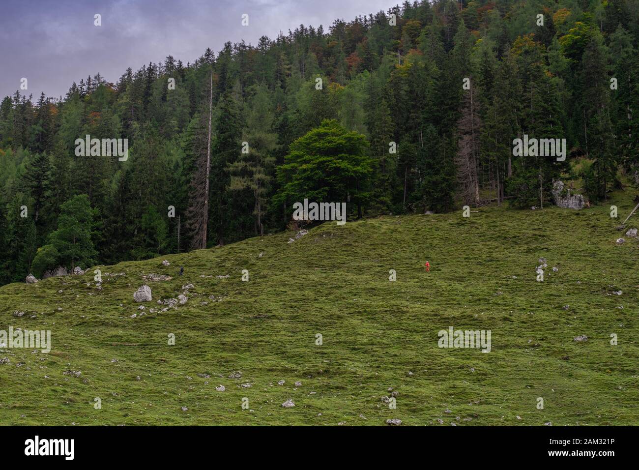 Blumenbergsfläche an einem sonnigen Tag mit kleinen Wolken Stockfoto