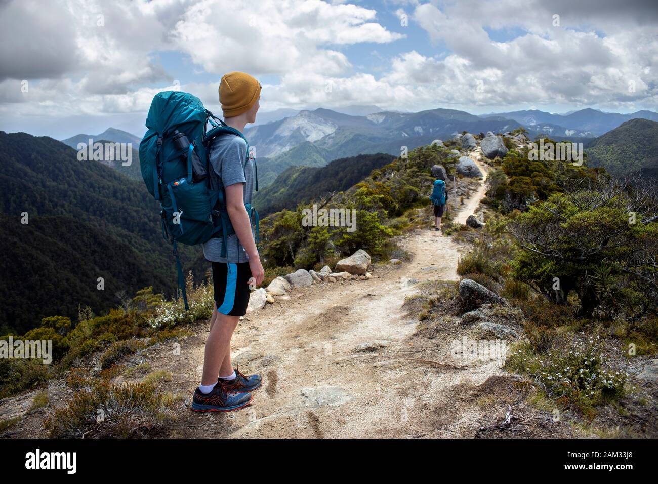 Gehen Sie auf dem Old Ghost Road Trail, Lyell nach Seddonville, Neuseeland. Auf Skyline Ridge Stockfoto